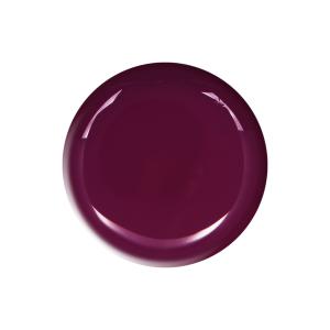 Smalto Obsession bordeaux 10 ml TNS